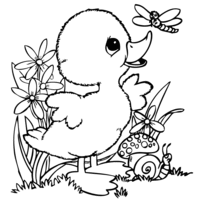 Desenho de Pato e libélula para colorir