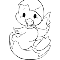 Desenho de Pato fofo para colorir
