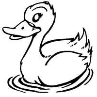 Desenho de Pato na lagoa para colorir