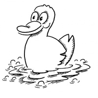 Desenho de Pato nadando para colorir