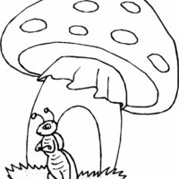 Desenho de Grilo e cogumelo para colorir