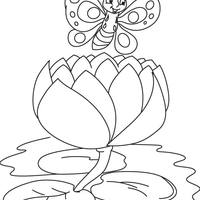 Desenho de Borboleta posando no nenúfar para colorir