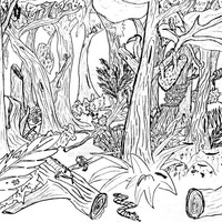 Desenho de Desmatamento na floresta para colorir