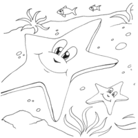 Desenho de Estrela-do-mar feliz para colorir