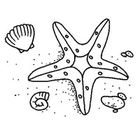 Desenho de Estrela-do-mar na areia para colorir