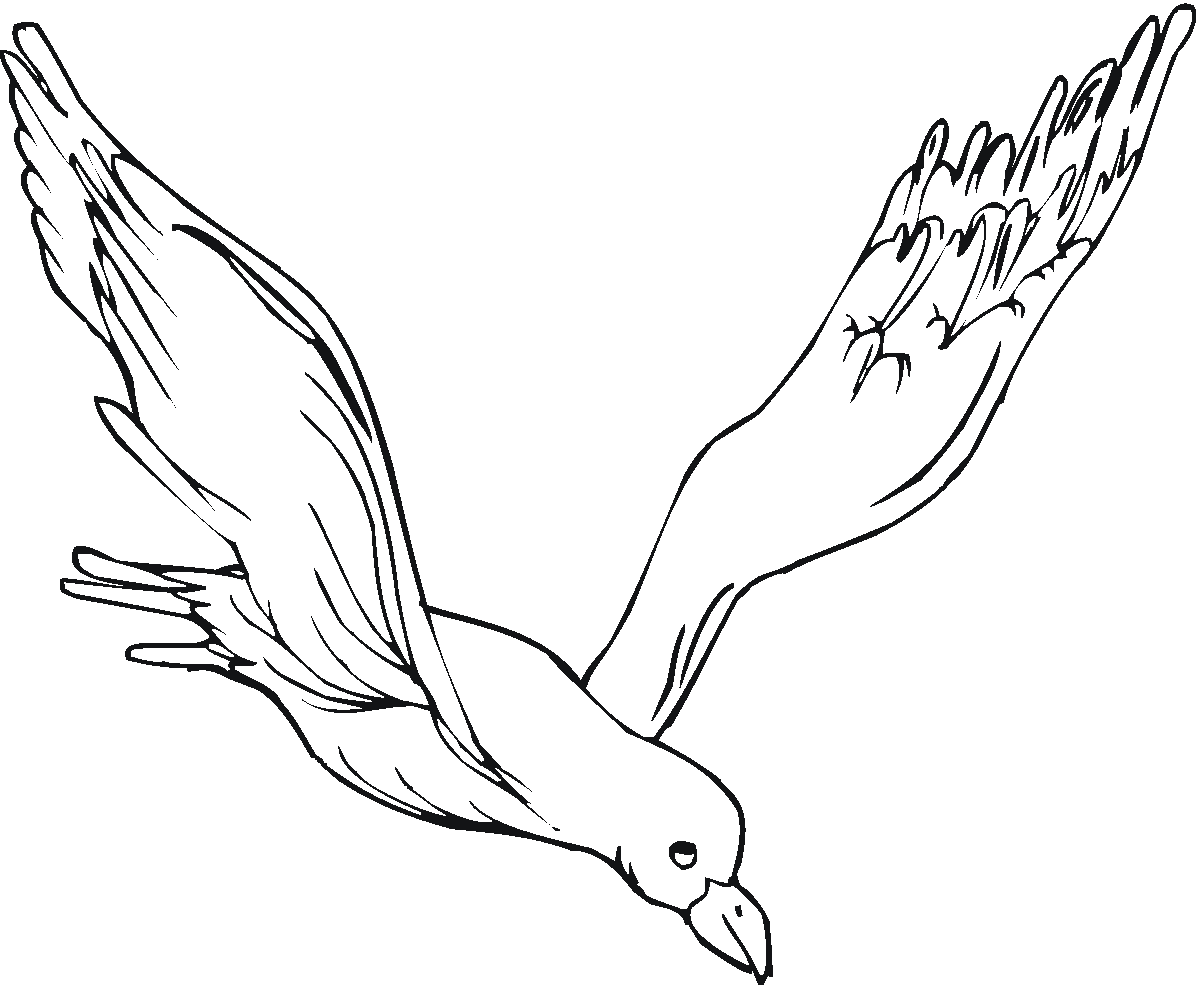desenho de gaviota voando para colorir  tudodesenhos