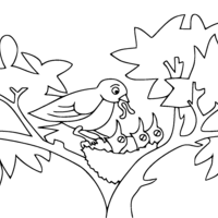 Desenho de Mamãe passarinho dando comida a filhotes para colorir