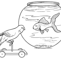 Desenho de Periquito e peixinho para colorir