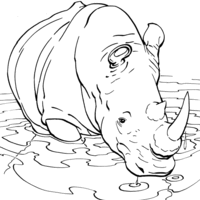 Desenho de Rinoceronte tomando banho para colorir