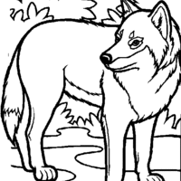 Desenho de Lobo na selva para colorir