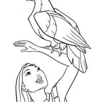 Desenho de Pocahontas e uma águia para colorir