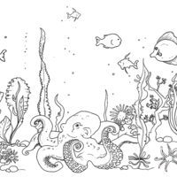 Desenho de Polvo e peixe entre algas para colorir