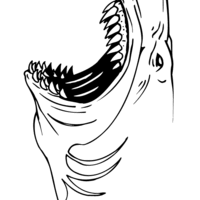 Desenho de Ataque do tubarão para colorir