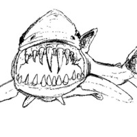 Desenho de Dentes do tubarão para colorir