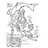 Desenho de Tubarão atacando Ariel para colorir