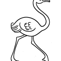 Desenho de Flamingo caminhando para colorir