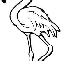 Desenho de Flamingo bonito para colorir