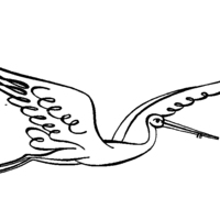 Desenho de Cegonha voando para colorir