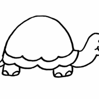 Desenho de Tartaruga infantil para colorir