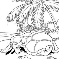 Desenho de Tartaruga e Pluto para colorir