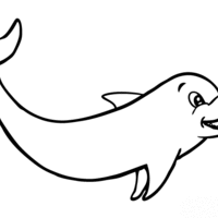 Desenho de Golfinho feliz para colorir