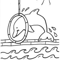 Desenho de Golfinho fazendo acrobacia para colorir