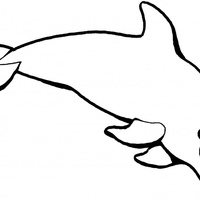 Desenho de Golfinho fofo para colorir