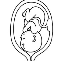 Desenho de Bebê no útero para colorir