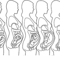 Desenho de Fases da gravidez para colorir