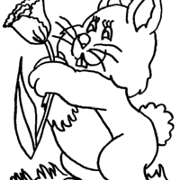 Desenho de Coelho e tulipa para colorir
