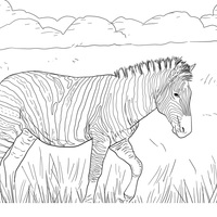 Desenho de Zebra passeando para colorir