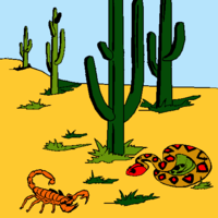 Desenhos de Deserto para colorir