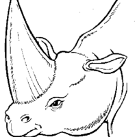 Desenho de Chifre de rinoceronte para colorir