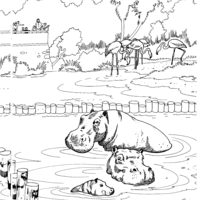Desenho de Hipopótamos no zoológico para colorir
