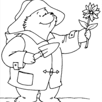Desenho de Paddington colhendo flor para colorir