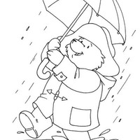 Desenho de Paddington na chuva para colorir