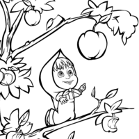 Desenho de Masha colhendo fruta para colorir
