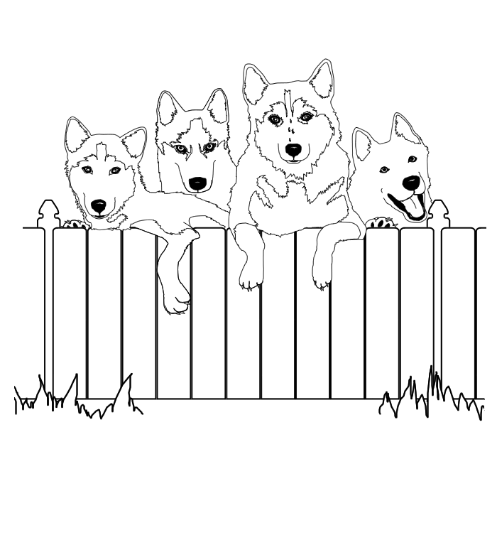 Cachorros na cerca