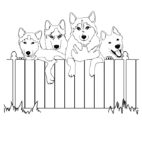 Desenho de Cachorros na cerca para colorir