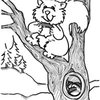 Desenho de Esquilo guardando comida no buraco da árvore para colorir