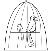 Desenho de Aves na gaiola para colorir