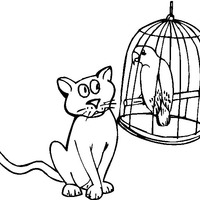 Desenho de Gato vendo pássaro na gaiola para colorir