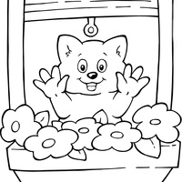 Desenho de Gatinho na janela para colorir