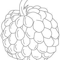 Desenho de Fruta-do-conde grande para colorir