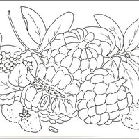 Desenho de Fruta-do-conde para colorir