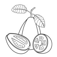 Desenho de Goiaba e laranja para colorir