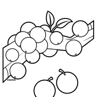 Desenho de Jabuticaba para colorir