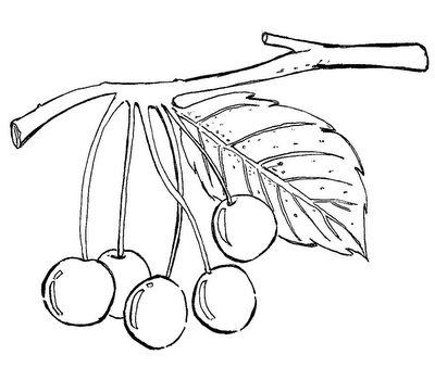 Desenhos de Médico para colorir - Tudodesenhos