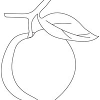 Desenho de Pêssego fruta para colorir