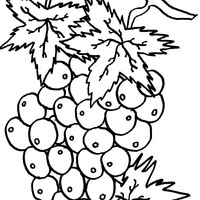Desenho de Bonito cacho de uvas para colorir